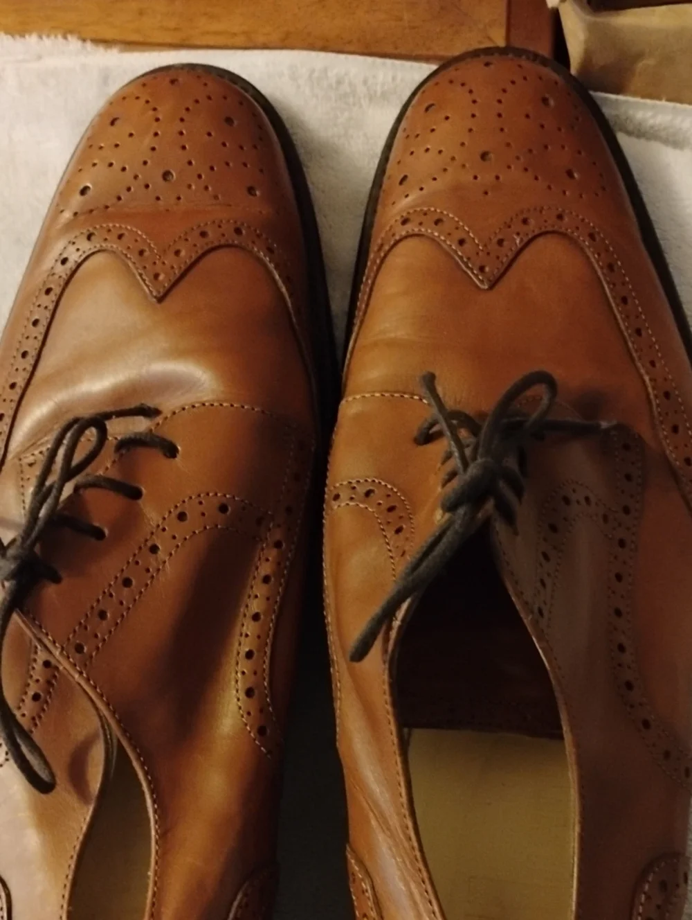 Tommy Hilfiger classic wingtip